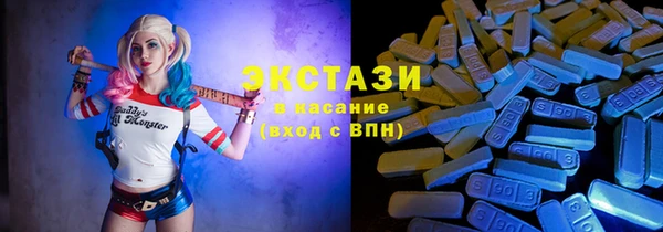 крисы Бородино