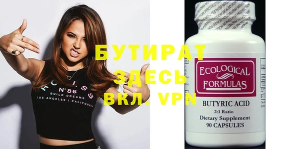 крисы Бородино