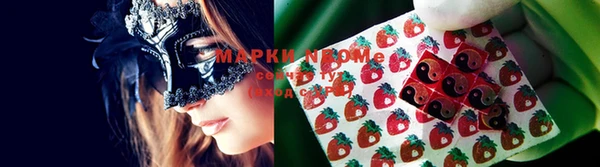 крисы Бородино