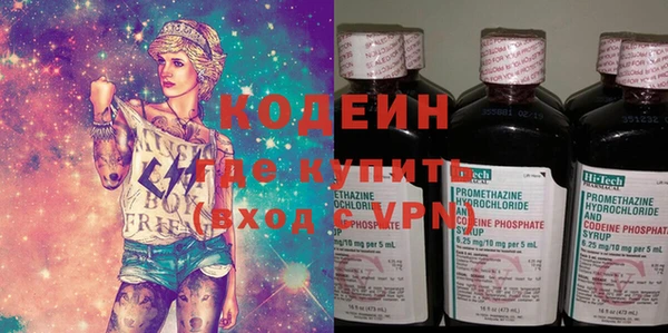 крисы Бородино