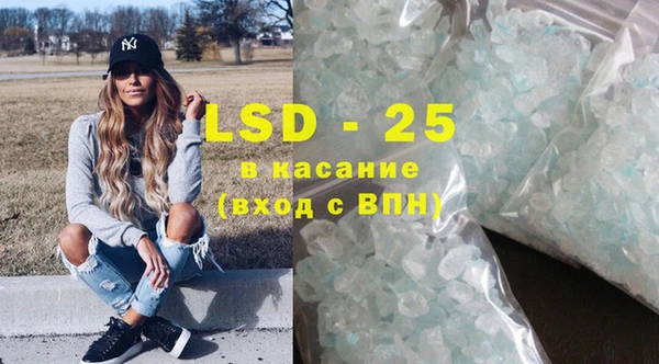 крисы Бородино