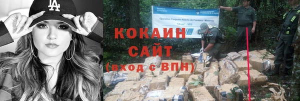 крисы Бородино