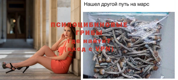 крисы Бородино