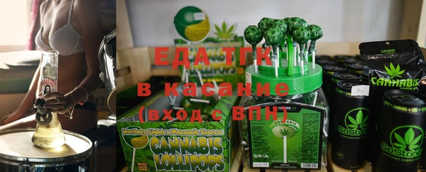 крисы Бородино