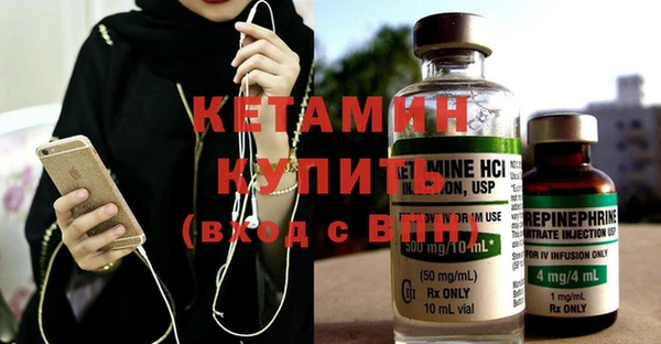 крисы Бородино