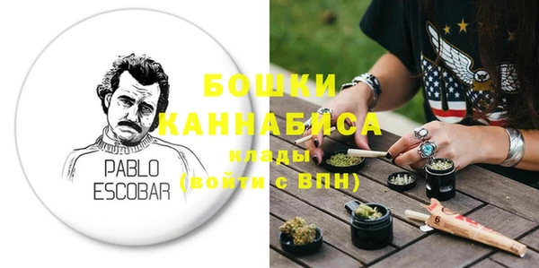 крисы Бородино