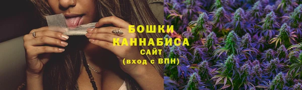 молекула духа Бугульма